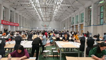 重庆专业技能测试电子商务