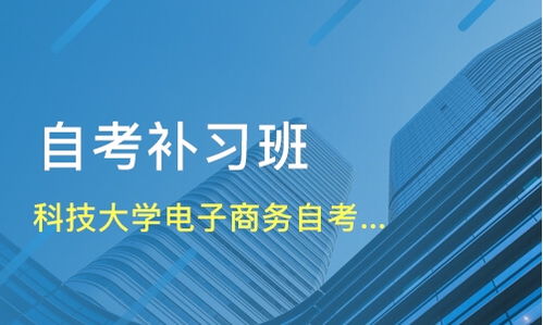 电子商务本科专业有哪些