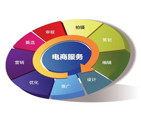 电子商务专业大二带电脑